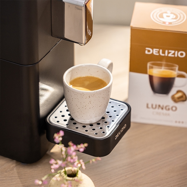 delizio.ch